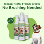 Oral Care Spray